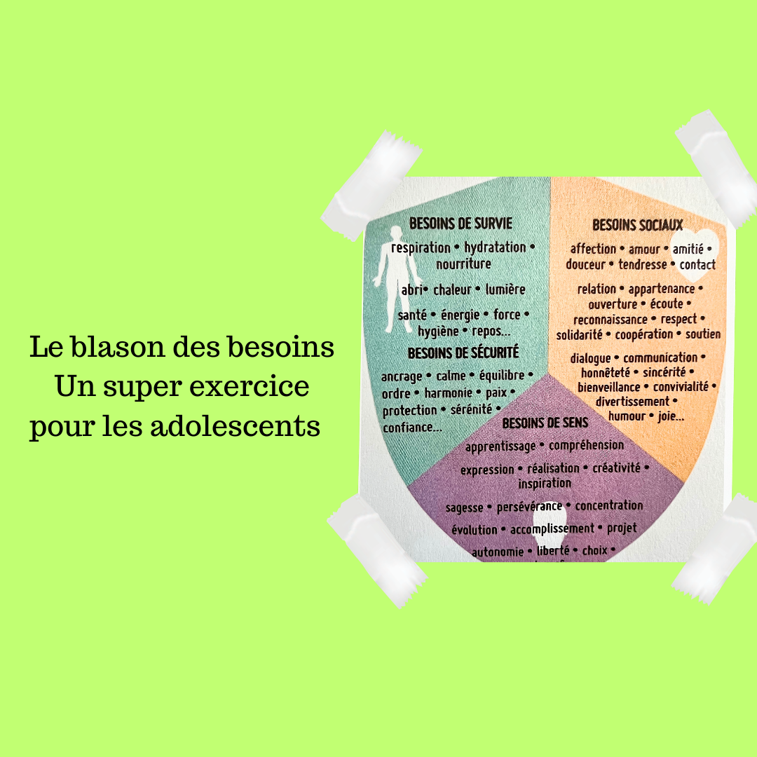 Activit S Ado Le Blason Des Besoins Ado Zen