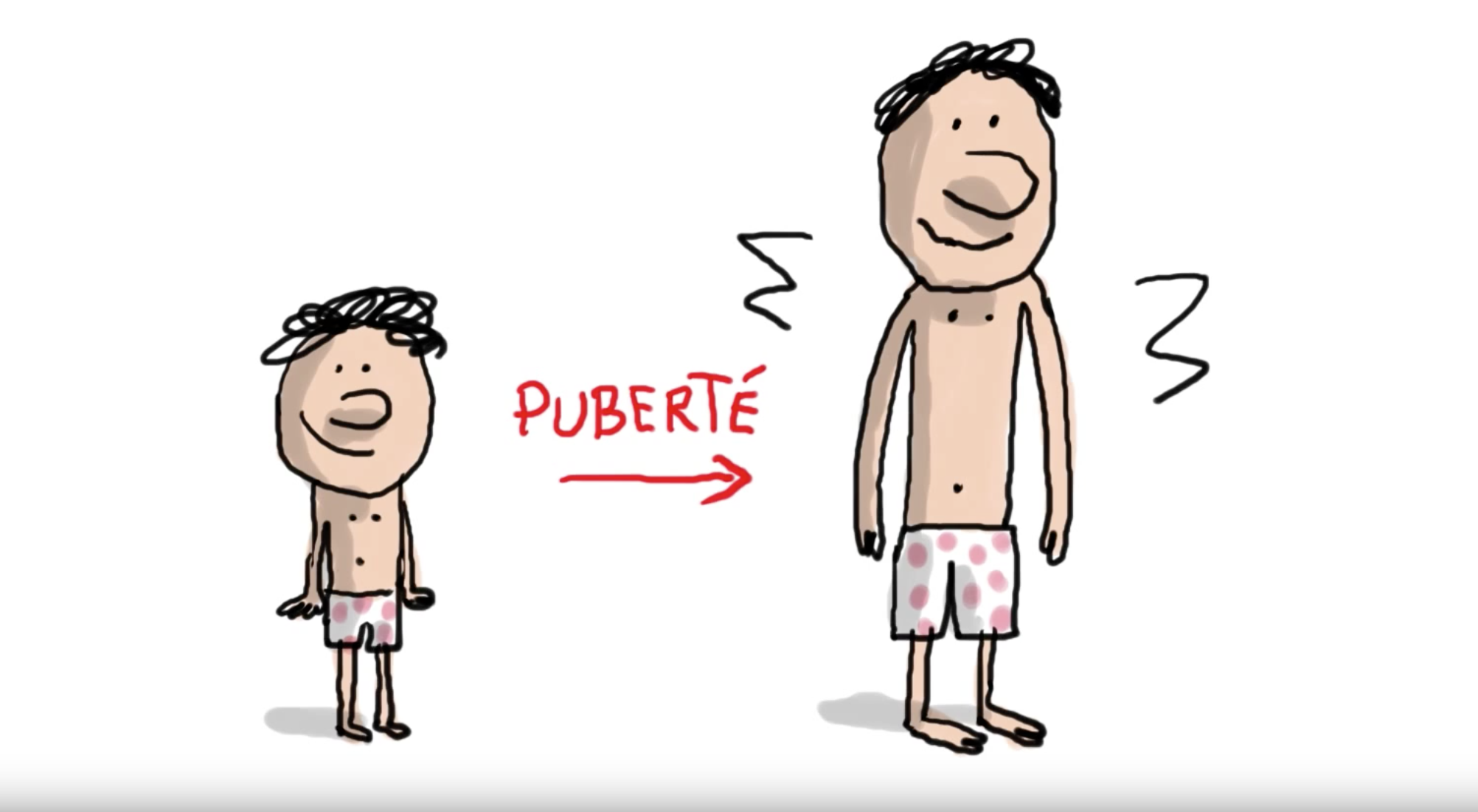 Cest Quoi La Puberté Une Vidéo Pour Lexpliquer Aux Ados Ado Zen