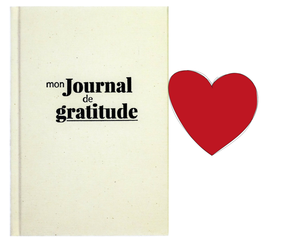 Buy Une Pensée Positive par jour: Journal de gratitude à remplir